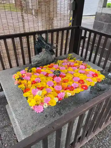 豊平神社の手水