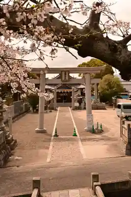 嘉母神社(愛媛県)