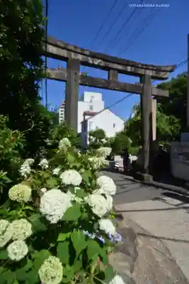 白山神社(東京都)