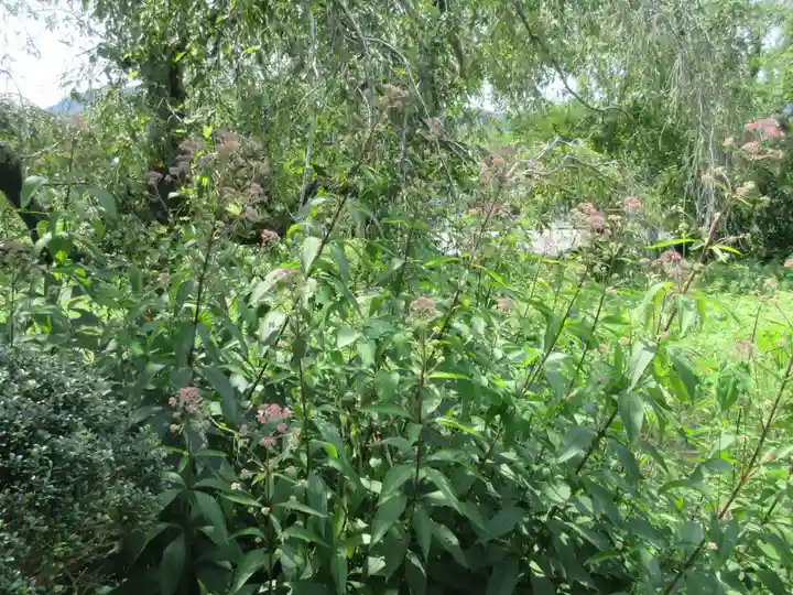 法善寺(埼玉県)