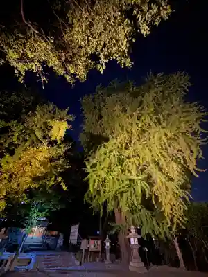 三栖神社(京都府)