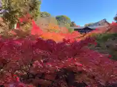 霊雲院(京都府)