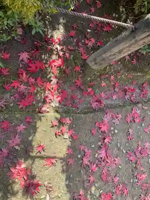 三室戸寺(京都府)