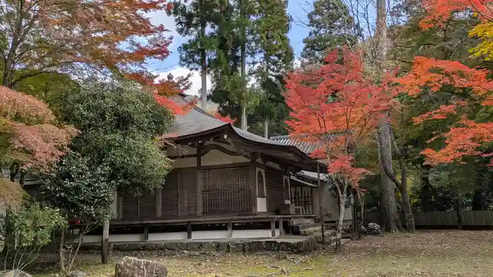 高山寺(京都府)