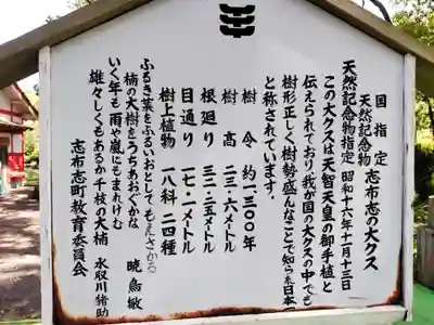 山宮神社(鹿児島県)