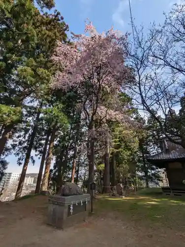 盛岡天満宮(岩手県)