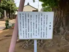 千葉寺の歴史