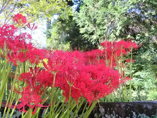 賀羅加波神社(広島県)