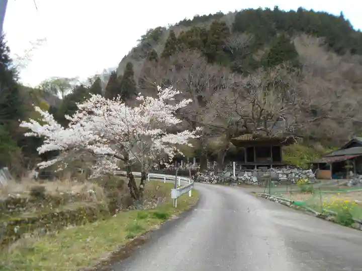 大槻阿弥陀堂の自然