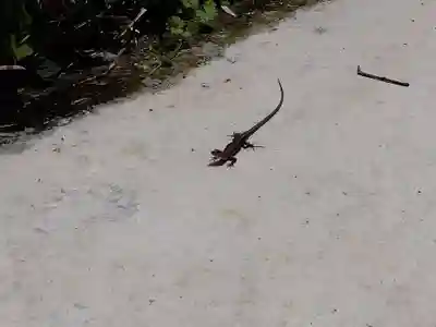 鍵岡神社(福井県)