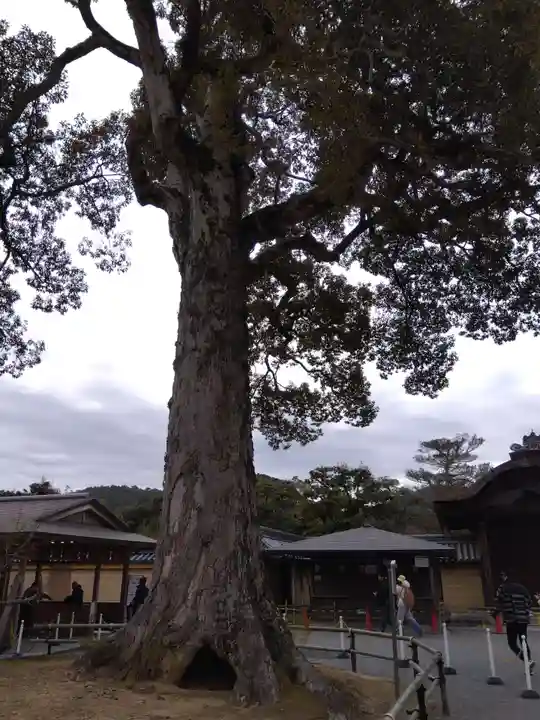 鹿苑寺(金閣寺)(京都府)