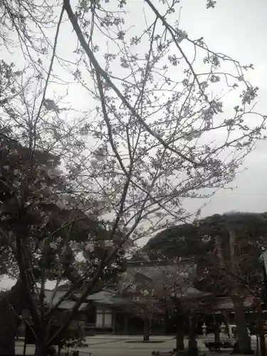 光明寺のその他建物