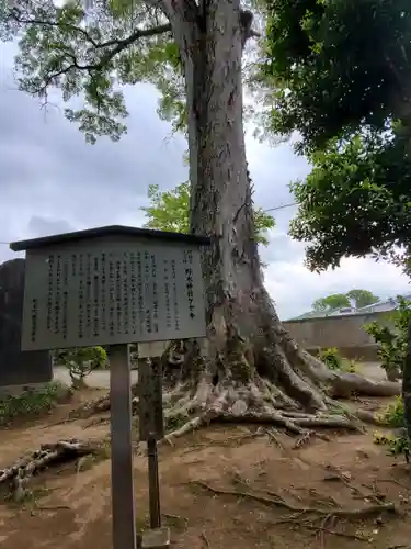 野木神社の歴史