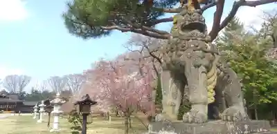 長野縣護國神社の狛犬