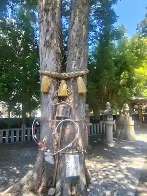 小汐井神社(滋賀県)