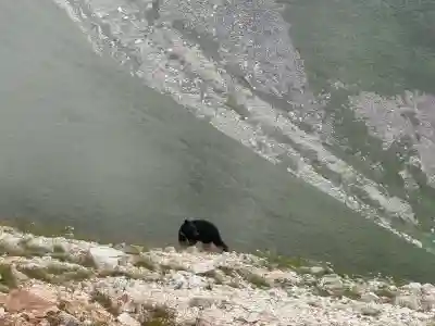 雄山神社前立社壇(富山県)