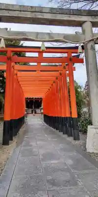 白井神社(兵庫県)