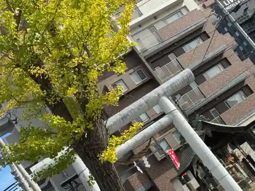 阿邪訶根神社(福島県)