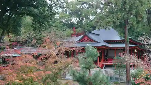 大覚寺の庭園