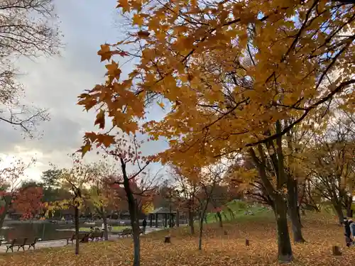 上川神社頓宮の景色