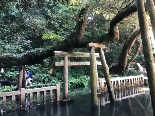 鹿島神宮の鳥居