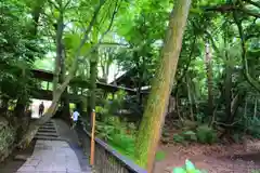 報徳二宮神社の自然