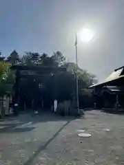 千歳神社の鳥居