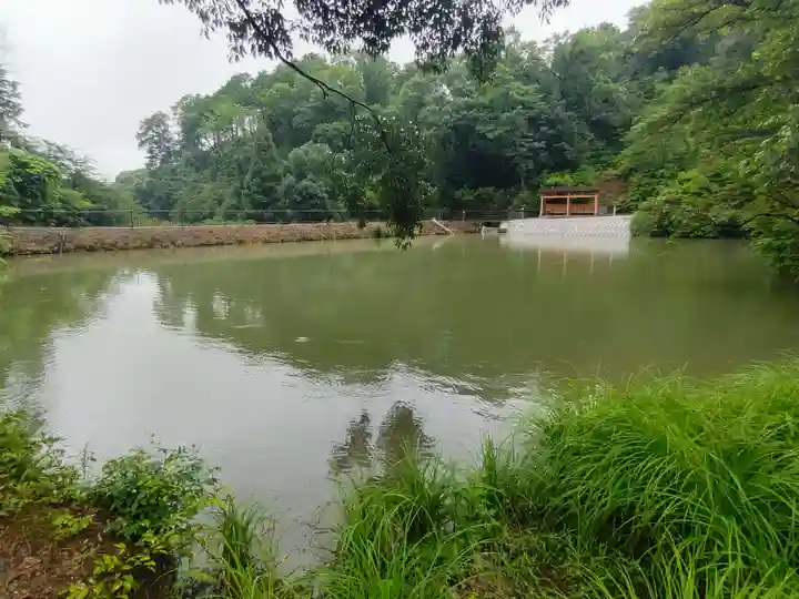 大縣神社の自然