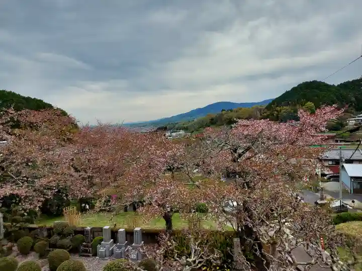 聖林寺の{uncategorized: "未分類", other: "その他", undefined: "問題あり", building: "その他建物", grave: "お墓", sacred_gate: "鳥居", guardian: "狛犬", statue: "像", buddha: "仏像", history: "歴史", nature: "自然", garden: "庭園", animal: "動物", pagoda: "塔", temizu: "手水舎", mountain_gate: "山門・神門", sanctuary: "本殿・本堂", subordinate: "末社・摂社", art: "芸術", scenery: "景色", jizo: "地蔵", ema: "絵馬", goshuin: "御朱印", omikuji: "おみくじ", items: "授与品その他", amulet: "お守り", goshuincho: "御朱印帳", eats: "食事", festival: "お祭り", votive_dance: "神楽", shichigosan: "七五三参", wedding: "結婚式", experience: "体験その他", initially: "初詣", around: "周辺", anti_infection: "感染症対策"}