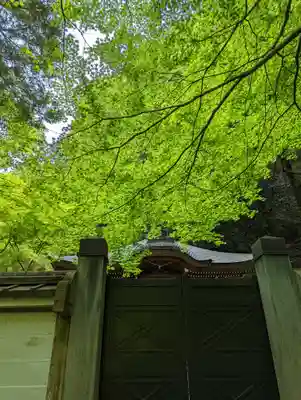 南禅院(京都府)