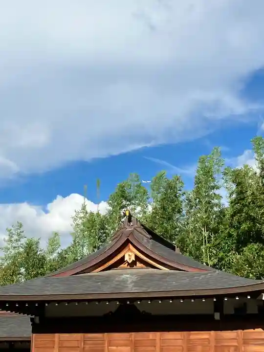 阿佐ヶ谷神明宮(東京都)