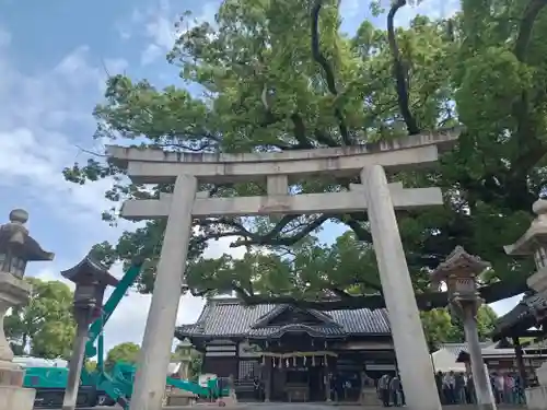 百舌鳥八幡宮(大阪府)