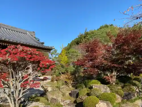 萬勝寺（飯高観音）の自然