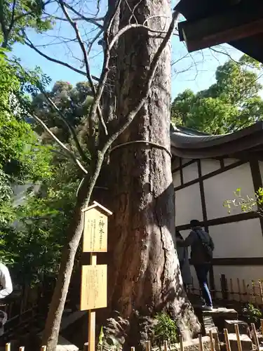 川越氷川神社の自然