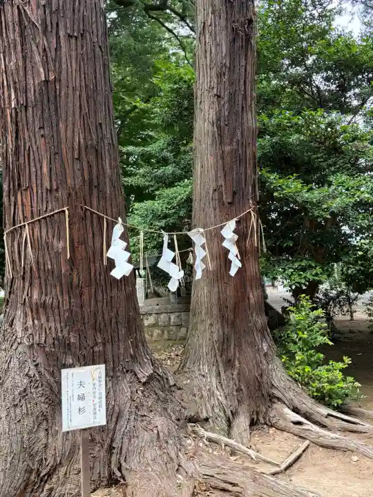 東蕗田天満社(茨城県)