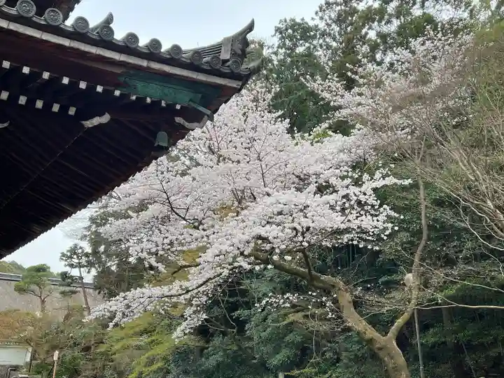 御寺 泉涌寺(京都府)
