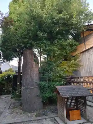 妖怪神社(鳥取県)