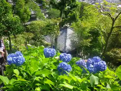 長谷寺のその他建物
