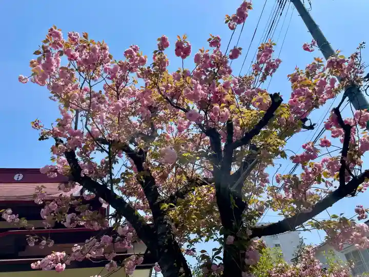満福寺(福島県)