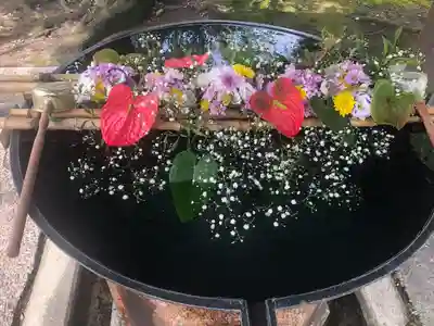 小名浜諏訪神社 ~海の鎮守様~の手水舎