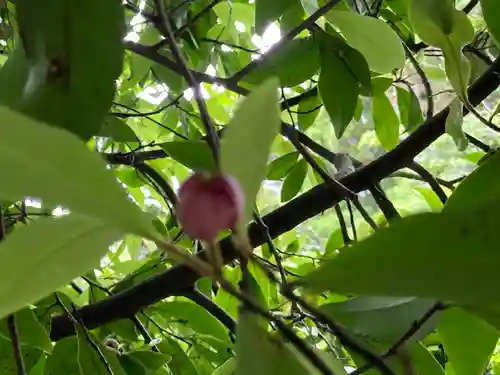 息栖神社(茨城県)