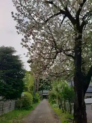 田端神社(東京都)