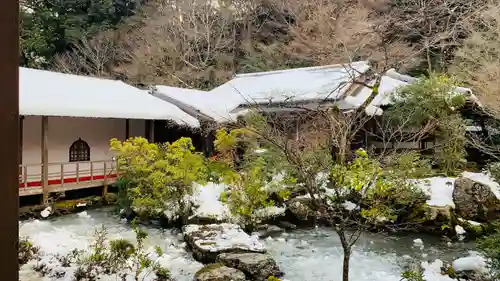 実相院門跡の庭園