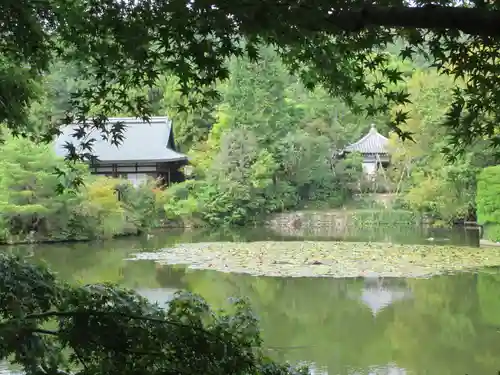 龍安寺の景色