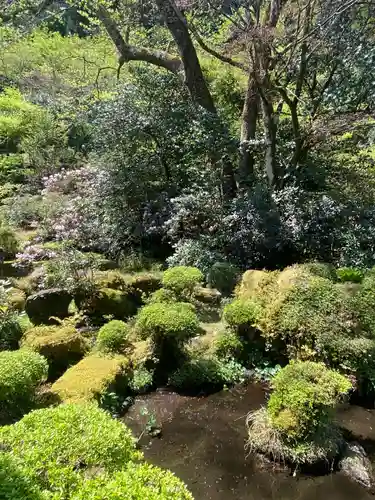 伝来寺の庭園