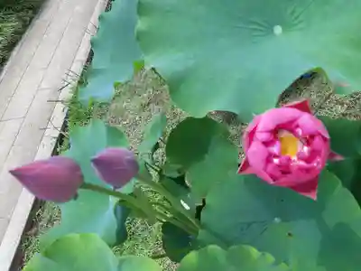 金乘院(千葉県)