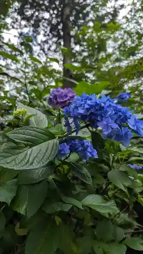 真正極楽寺（真如堂）(京都府)