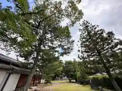 嚴島神社(奈良県)