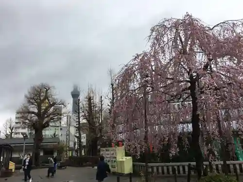 浅草寺の景色