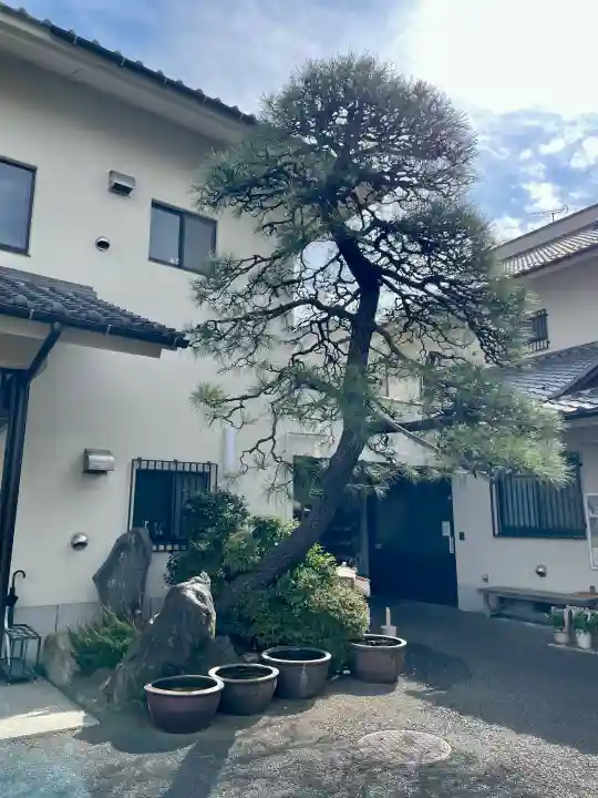 西念寺の{uncategorized: "未分類", other: "その他", undefined: "問題あり", building: "その他建物", grave: "お墓", sacred_gate: "鳥居", guardian: "狛犬", statue: "像", buddha: "仏像", history: "歴史", nature: "自然", garden: "庭園", animal: "動物", pagoda: "塔", temizu: "手水舎", mountain_gate: "山門・神門", sanctuary: "本殿・本堂", subordinate: "末社・摂社", art: "芸術", scenery: "景色", jizo: "地蔵", ema: "絵馬", goshuin: "御朱印", omikuji: "おみくじ", items: "授与品その他", amulet: "お守り", goshuincho: "御朱印帳", eats: "食事", festival: "お祭り", votive_dance: "神楽", shichigosan: "七五三参", wedding: "結婚式", experience: "体験その他", initially: "初詣", around: "周辺", anti_infection: "感染症対策"}